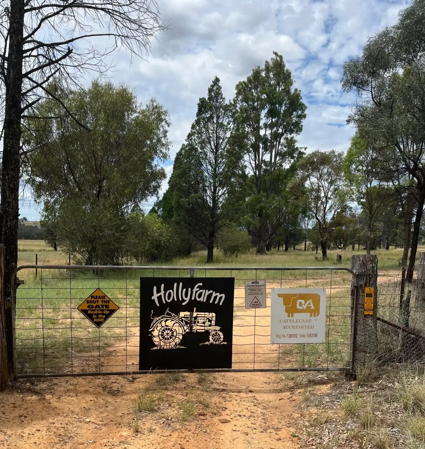Main view of Homely rural property listing, 6710 Warrumbungles Way, Coonabarabran NSW 2357