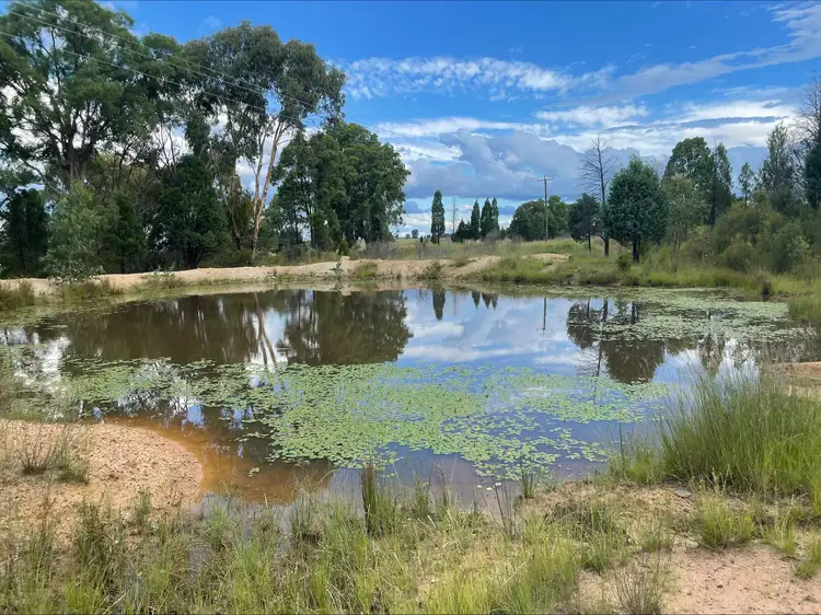 Third view of Homely rural property listing, 6710 Warrumbungles Way, Coonabarabran NSW 2357