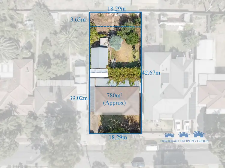 12 Harris Street, Paradise SA 5075