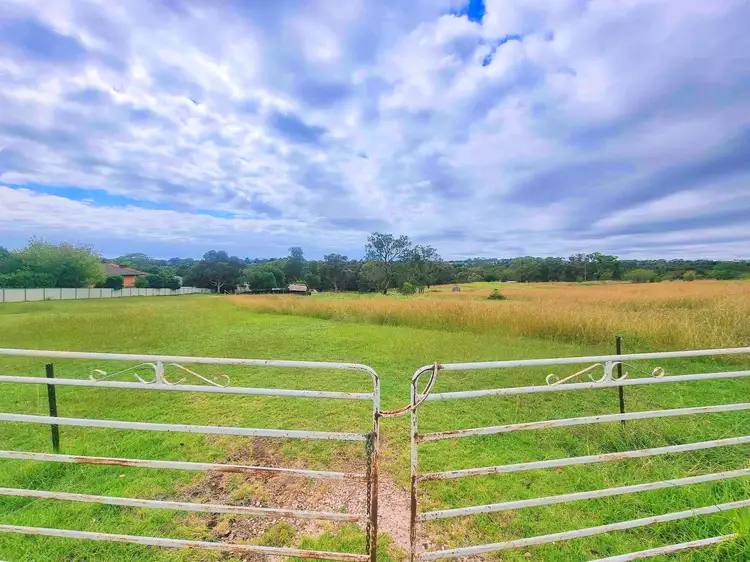 86 Back Creek Road, Young NSW 2594