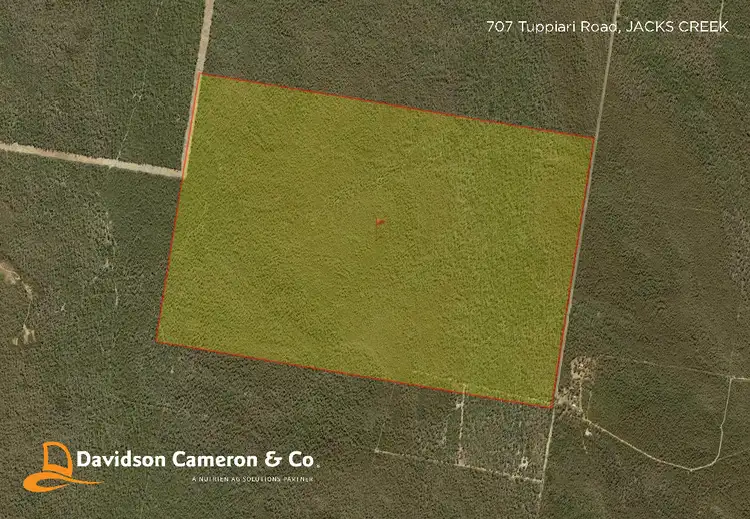 707 Tuppiari Road, Jacks Creek NSW 2390