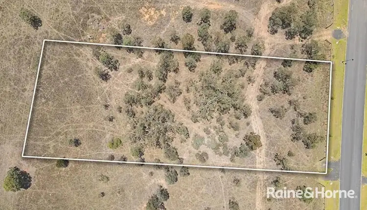 LOT 226, 6 Shearer's Close, Muswellbrook NSW 2333