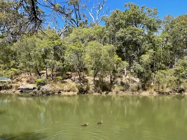 Main view of Homely land listing, 8 Flora Grove, Molloy Island WA 6290