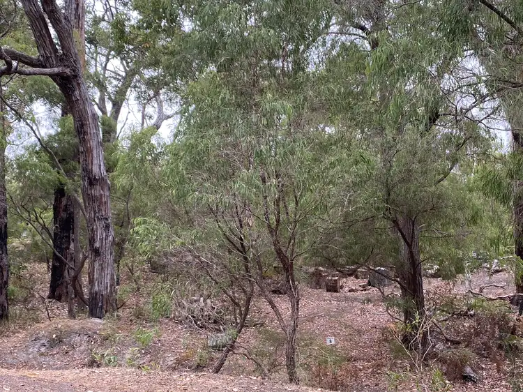 Fifth view of Homely land listing, 8 Flora Grove, Molloy Island WA 6290
