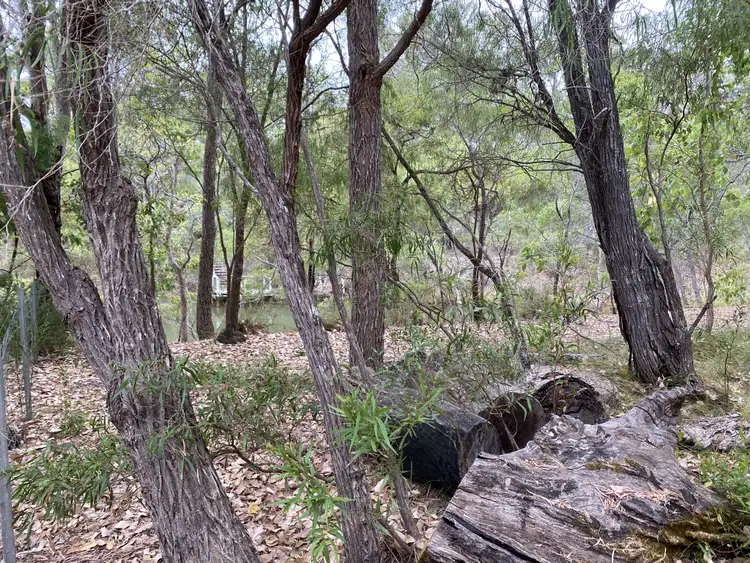 Sixth view of Homely land listing, 8 Flora Grove, Molloy Island WA 6290