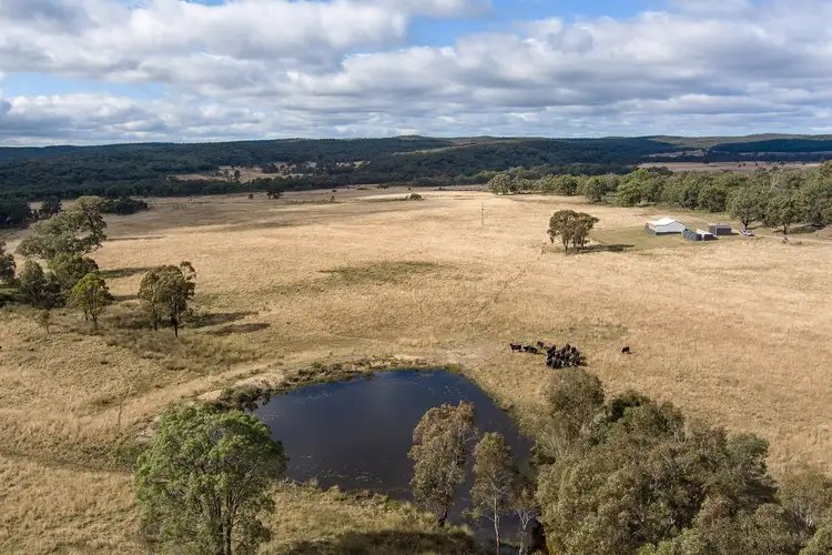 962 Blue Springs Road Cope, Gulgong NSW 2852