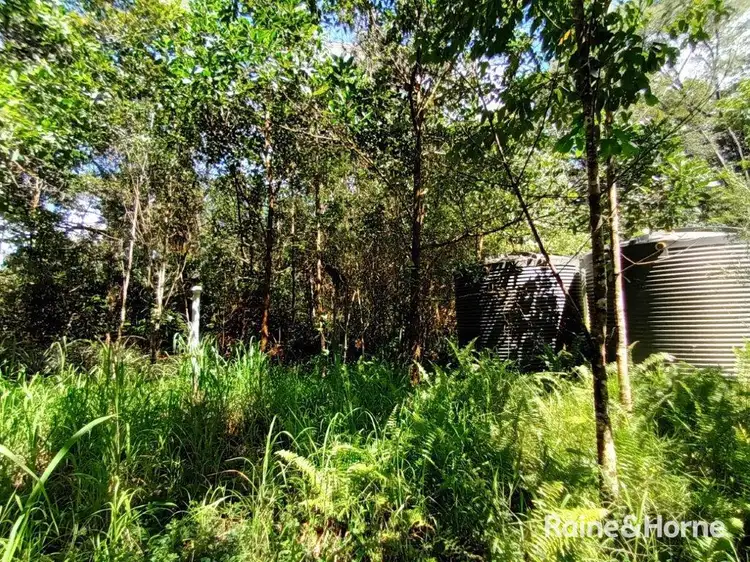 Sixth view of Homely land listing, 95 George Road, Forest Creek, Daintree QLD 4873