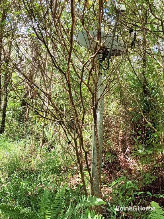 Seventh view of Homely land listing, 95 George Road, Forest Creek, Daintree QLD 4873