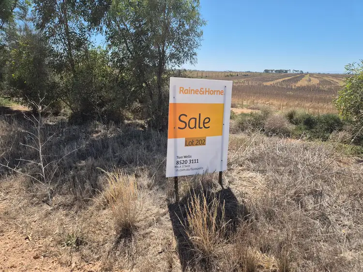 LOT 203 Porter Road, Korunye SA 5502