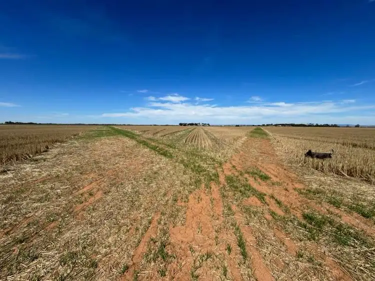 Second view of Homely land listing, LOT 203 Porter Road, Korunye SA 5502