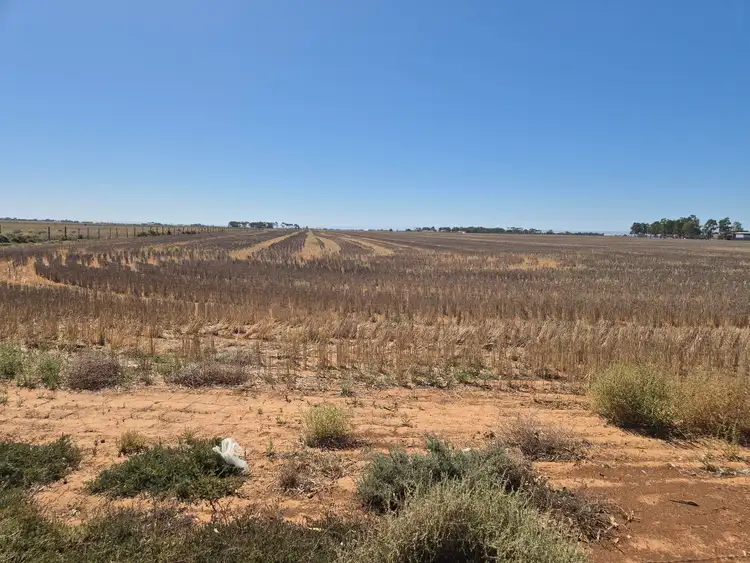 Fifth view of Homely land listing, LOT 203 Porter Road, Korunye SA 5502