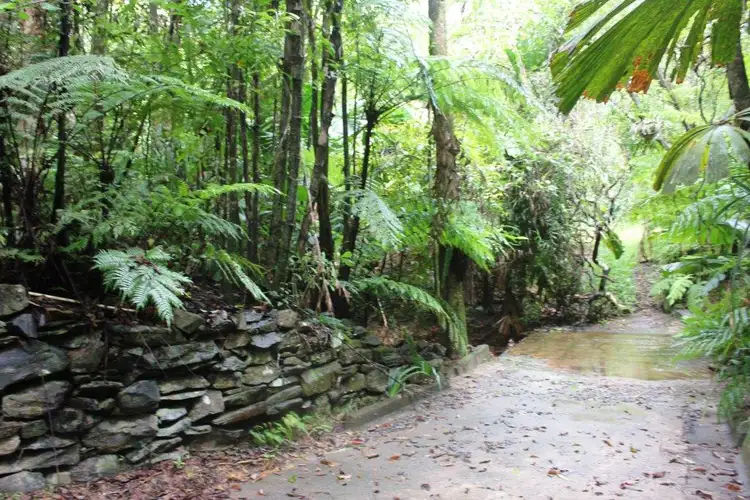 252 (Lot 25) Forest Creek Road FOREST CREEK, Daintree QLD 4873
