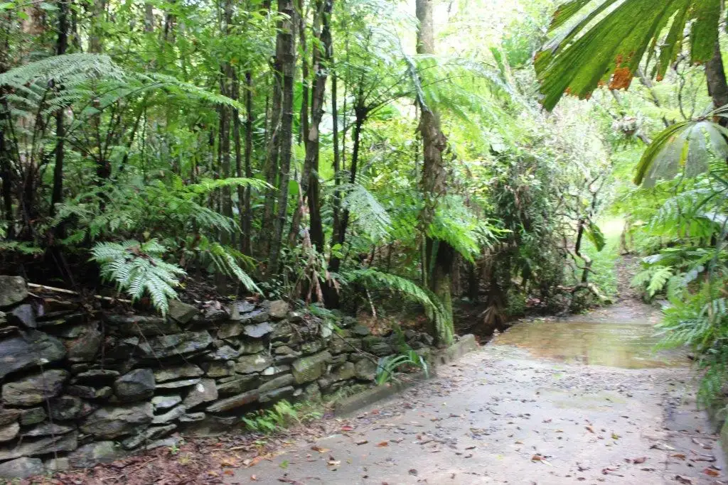 Main view of Homely land listing, 252 (Lot 25) Forest Creek Road FOREST CREEK, Daintree QLD 4873