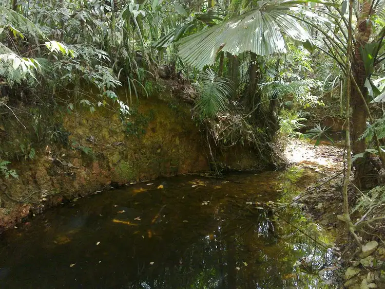 Fifth view of Homely land listing, 252 (Lot 25) Forest Creek Road FOREST CREEK, Daintree QLD 4873