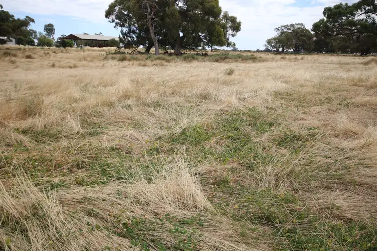 Third view of Homely rural property listing, Lot 2 Moulamein Road, Barham NSW 2732