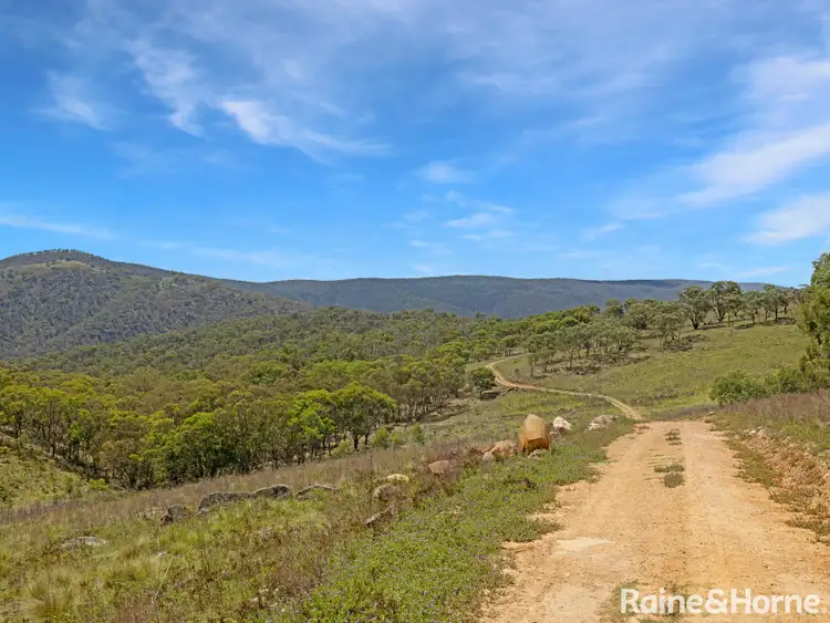 Third view of Homely rural property listing, 106 McIntosh Road, Freemantle NSW 2795