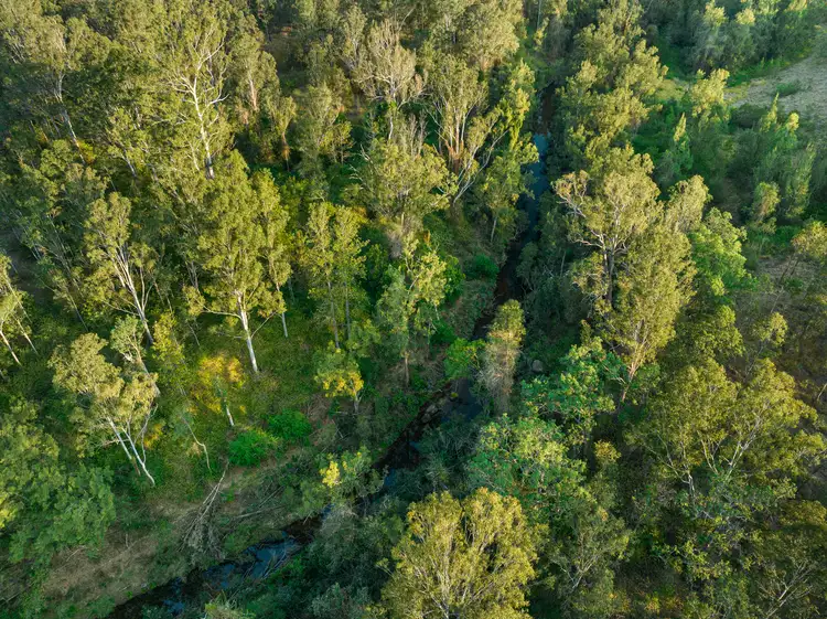 Second view of Homely rural property listing, 624B Tabulam Road, Tabulam NSW 2469