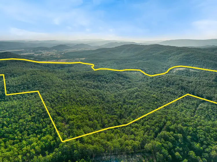 Third view of Homely rural property listing, 624B Tabulam Road, Tabulam NSW 2469