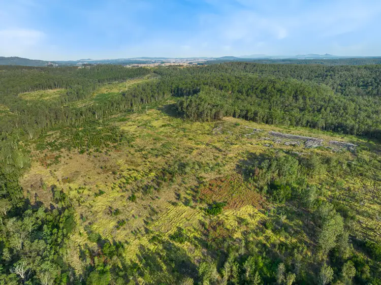 Sixth view of Homely rural property listing, 624B Tabulam Road, Tabulam NSW 2469