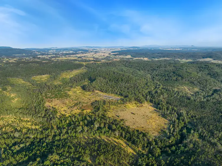 Seventh view of Homely rural property listing, 624B Tabulam Road, Tabulam NSW 2469