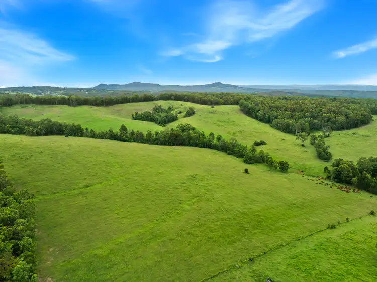 Third view of Homely rural property listing, 140 Deep Creek Road, Mallanganee NSW 2469