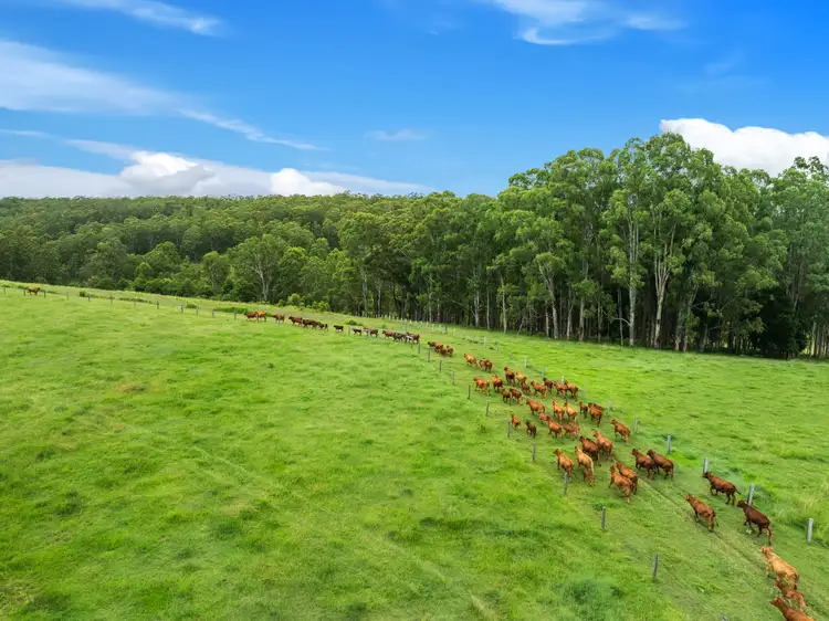 Fourth view of Homely rural property listing, 140 Deep Creek Road, Mallanganee NSW 2469