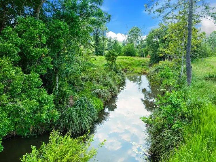 Sixth view of Homely rural property listing, 140 Deep Creek Road, Mallanganee NSW 2469