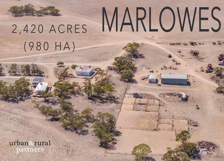 Second view of Homely rural property listing, 1225a McEvoy Road, Chandada SA 5680
