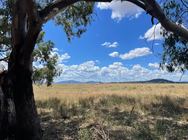 Main view of Homely rural property listing, " Bluevale Lagoon" 232 Blue Vale Road, Gunnedah NSW 2380