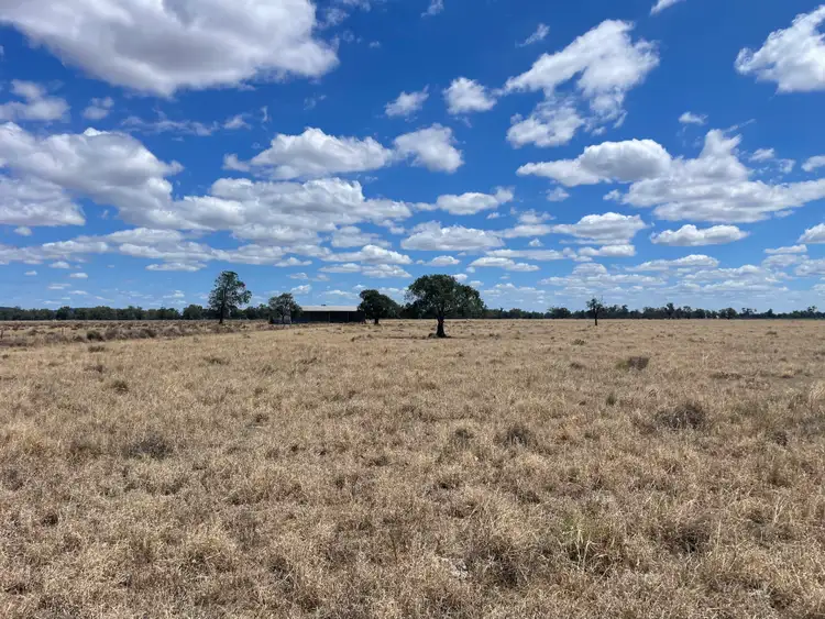 Third view of Homely rural property listing, " Bluevale Lagoon" 232 Blue Vale Road, Gunnedah NSW 2380