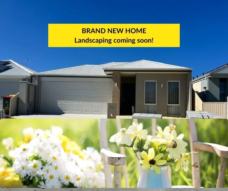 Main view of Homely house listing, 16 Thistle Way, Two Rocks WA 6037