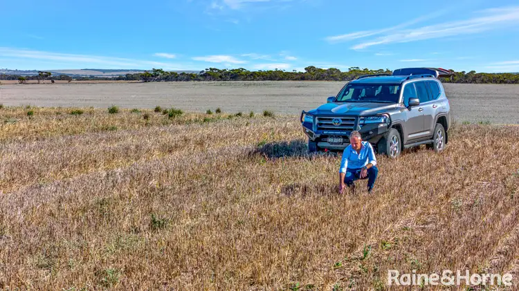Main view of Homely rural property listing, A339 Kangaroo Road, Langhorne Creek SA 5255