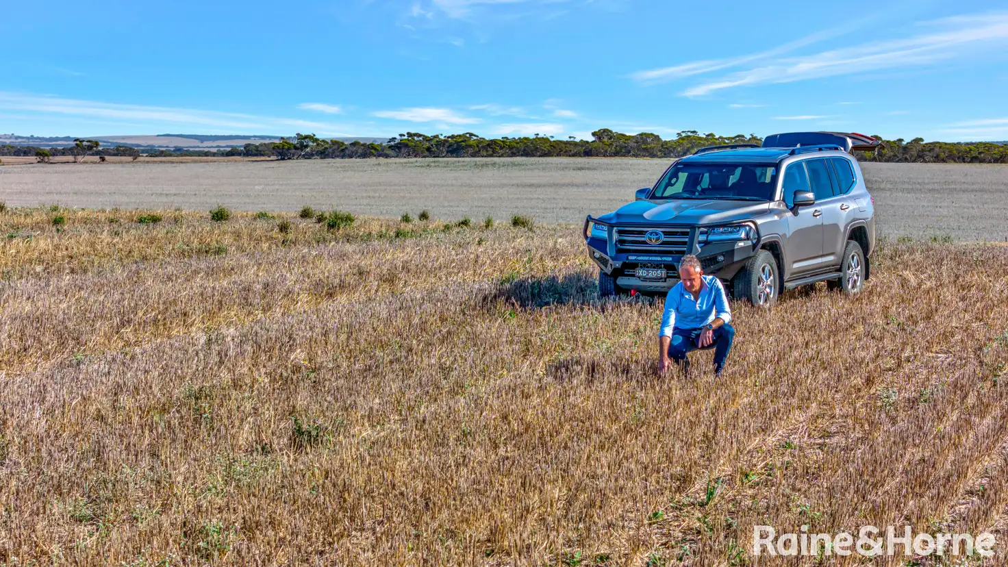 Main view of Homely rural property listing, A339 Kangaroo Road, Langhorne Creek SA 5255
