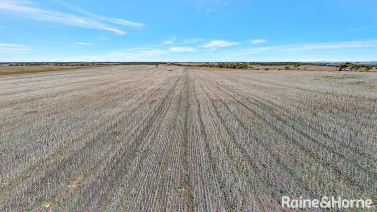 Second view of Homely rural property listing, A339 Kangaroo Road, Langhorne Creek SA 5255