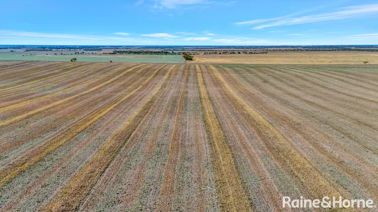 Third view of Homely rural property listing, A339 Kangaroo Road, Langhorne Creek SA 5255
