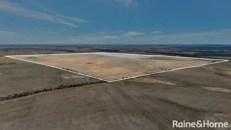 Fourth view of Homely rural property listing, A339 Kangaroo Road, Langhorne Creek SA 5255