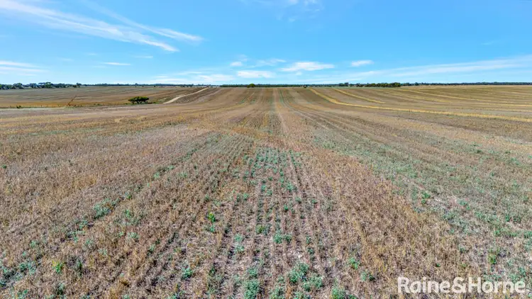 Fifth view of Homely rural property listing, A339 Kangaroo Road, Langhorne Creek SA 5255