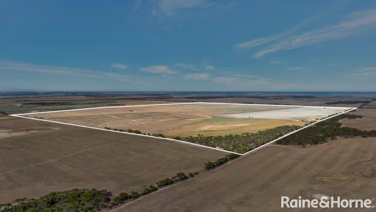 Sixth view of Homely rural property listing, A339 Kangaroo Road, Langhorne Creek SA 5255