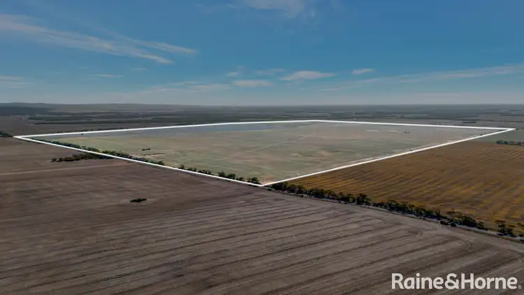 Seventh view of Homely rural property listing, A339 Kangaroo Road, Langhorne Creek SA 5255