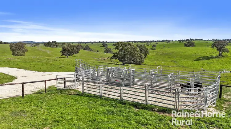 166 Stirling Hill Road, Gemmells SA 5255