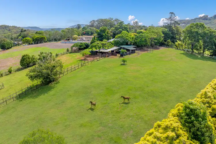 Third view of Homely house listing, 55 Berrigans Road, Mudgeeraba QLD 4213