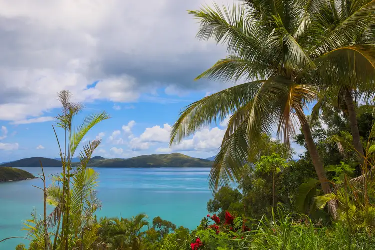 Main view of Homely house listing, 6 Harbour Avenue, Shute Harbour QLD 4802