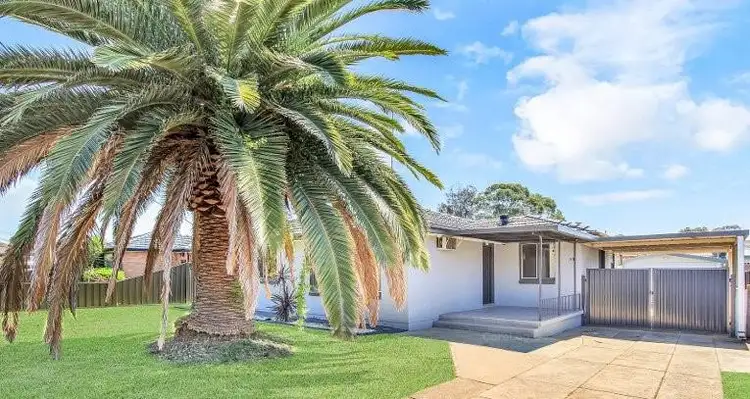 11 Jensen Street