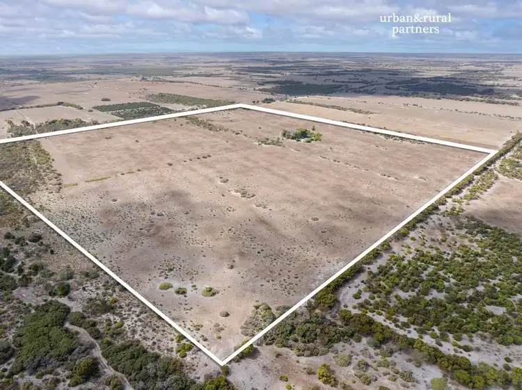Fourth view of Homely rural property listing, 2 Hundred Line Road, The Pines SA 5577