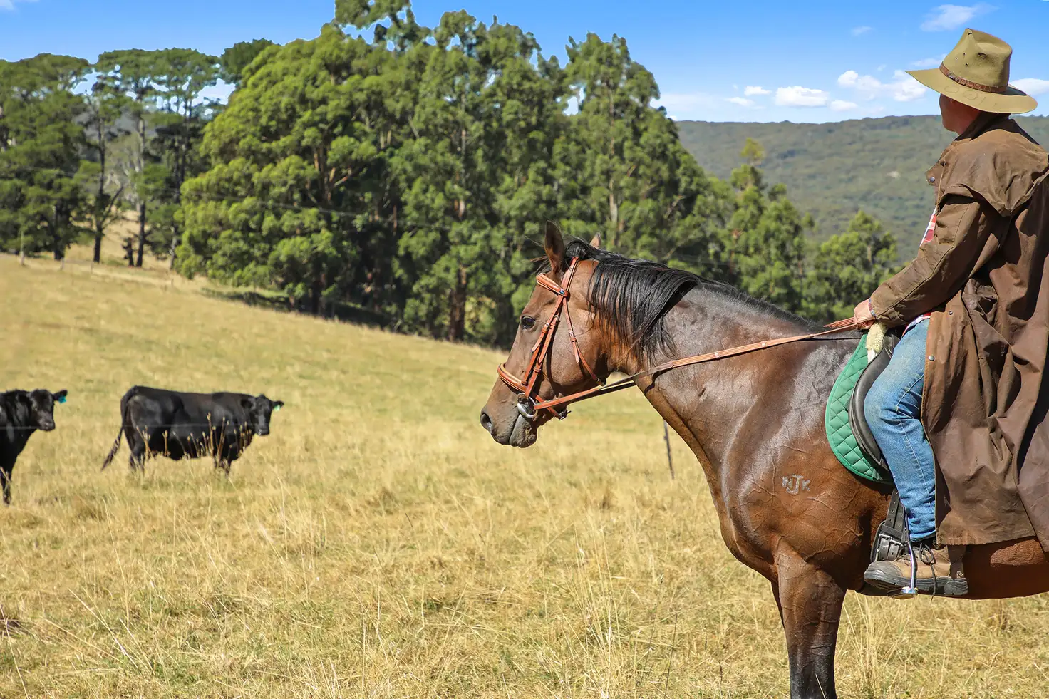 Main view of Homely rural property listing, 14 Old Traralgon Road, Moondarra via, Erica VIC 3825