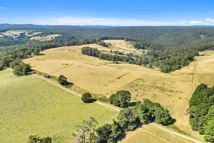Third view of Homely rural property listing, 14 Old Traralgon Road, Moondarra via, Erica VIC 3825