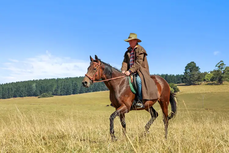 Fourth view of Homely rural property listing, 14 Old Traralgon Road, Moondarra via, Erica VIC 3825