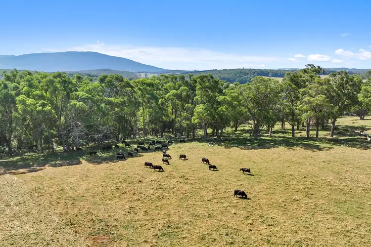 Fifth view of Homely rural property listing, 14 Old Traralgon Road, Moondarra via, Erica VIC 3825
