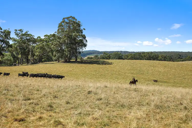 Sixth view of Homely rural property listing, 14 Old Traralgon Road, Moondarra via, Erica VIC 3825