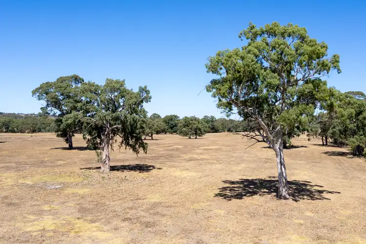 Third view of Homely land listing, 798 Dashwood Gully Road, Meadows SA 5201